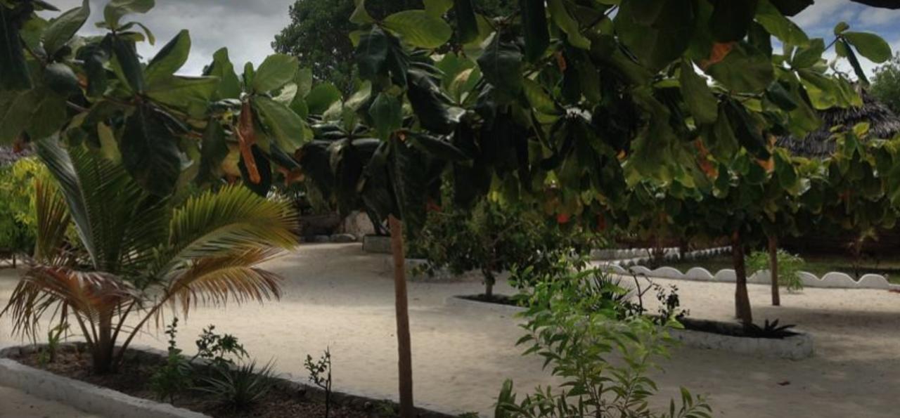 Mfumbwi Lodge Jambiani  Εξωτερικό φωτογραφία