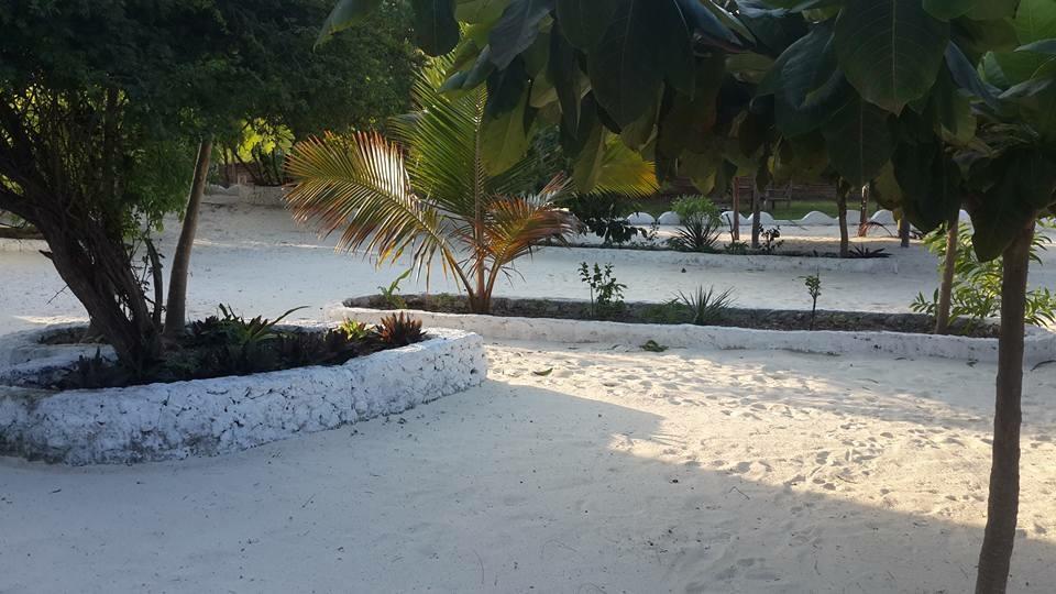 Mfumbwi Lodge Jambiani  Εξωτερικό φωτογραφία