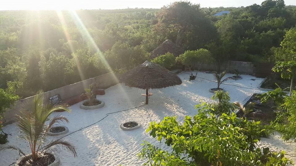 Mfumbwi Lodge Jambiani  Εξωτερικό φωτογραφία